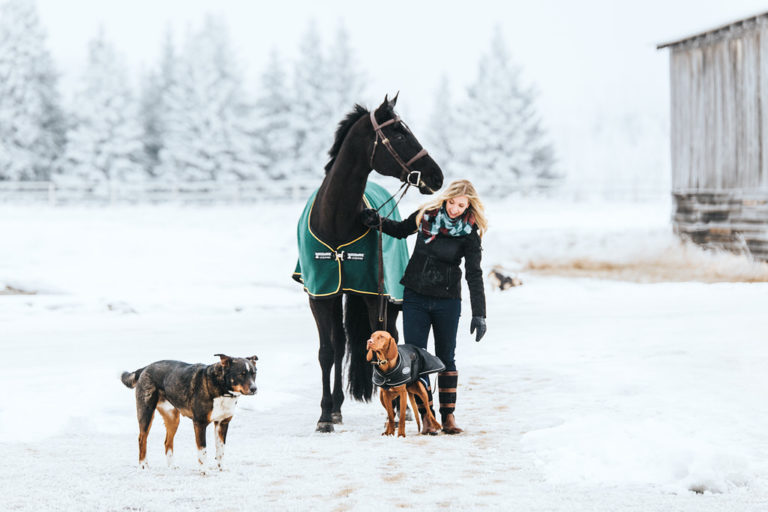 Calgary Equine Session Sue Moodie Photography