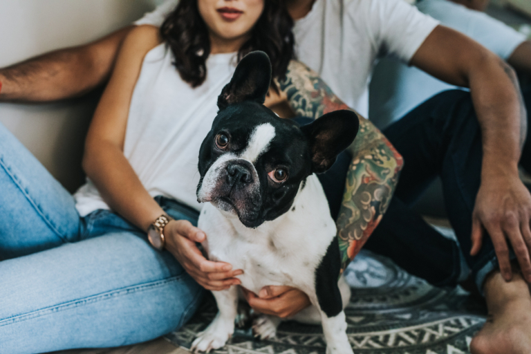 French Bulldog embraced by couple sitting on floor