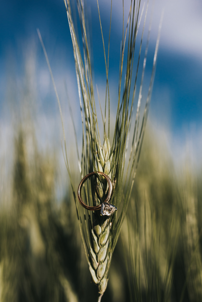 Vulcan, Alberta Farm Summer Engagement Session