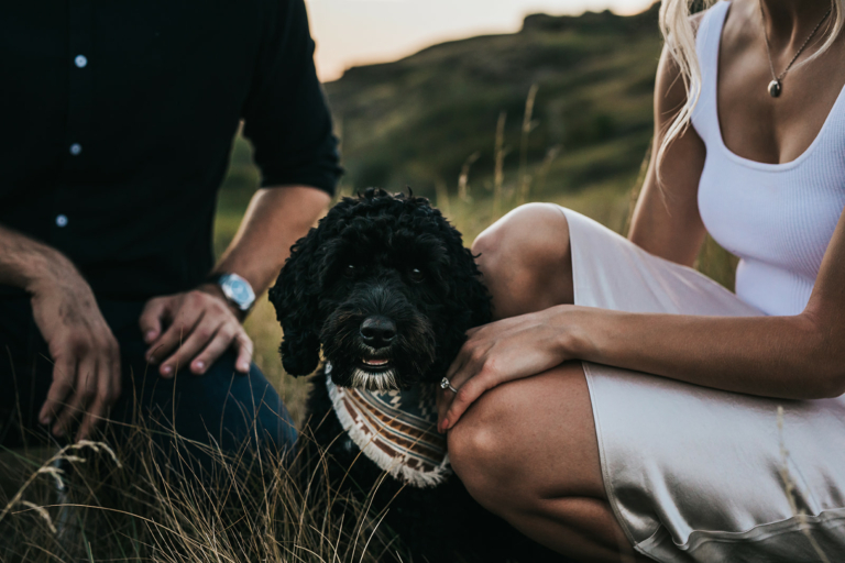 Engagement Photography with Dogs